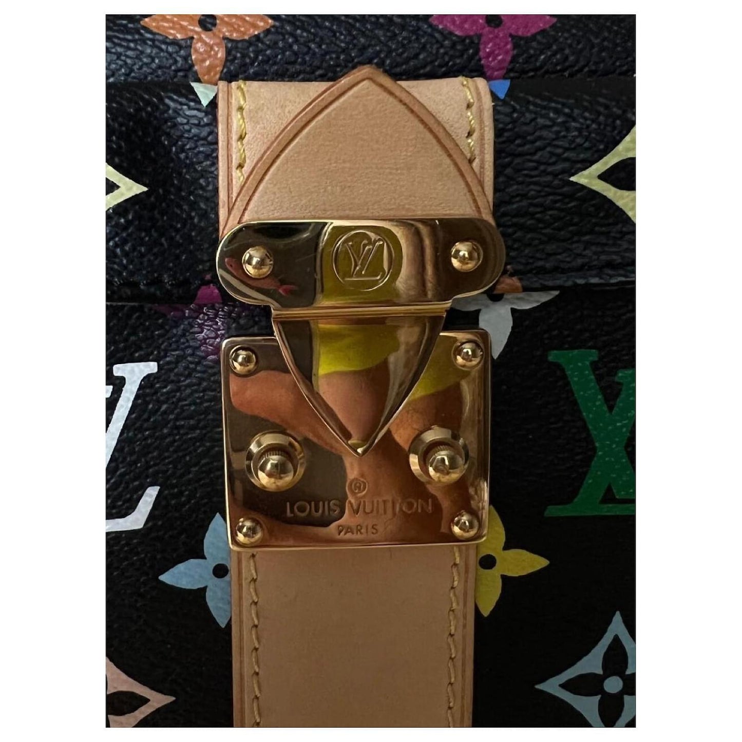 Louis Vuitton Takashi Murakami Speedy Edición Limitada